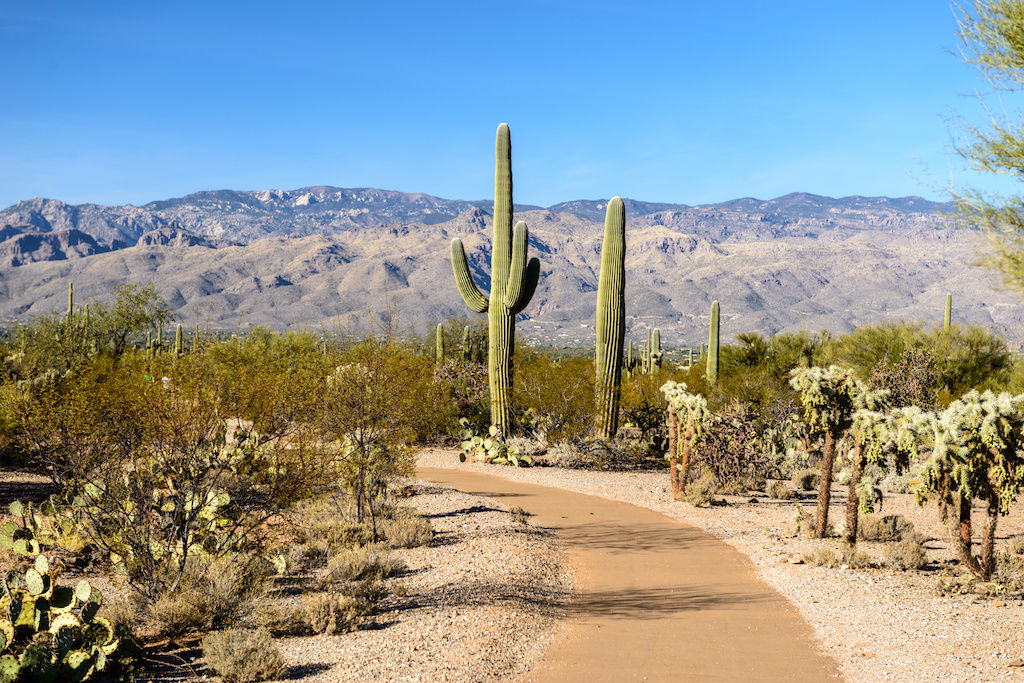 Scottsdale walking trail